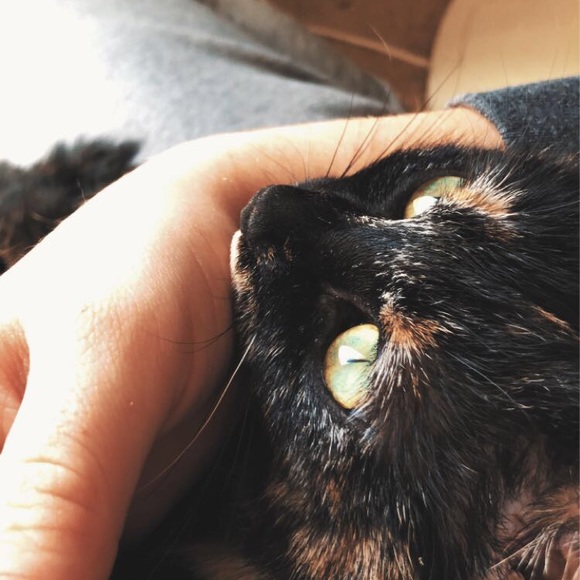 Meet your Posher, Rae - Picture 1 of 1